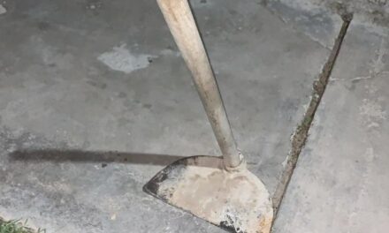 Intentó robar en una vivienda de Chimbas y terminó tras las rejas