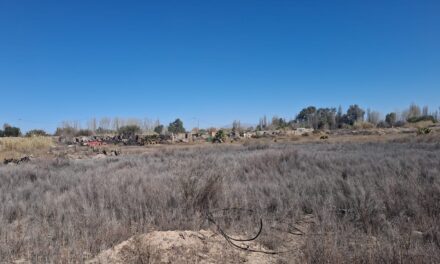 Último momento: Incendio de gran magnitud en Santa Lucía, al menos cinco viviendas afectadas