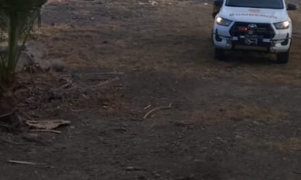 Jornada crítica: Múltiples incendios en la provincia