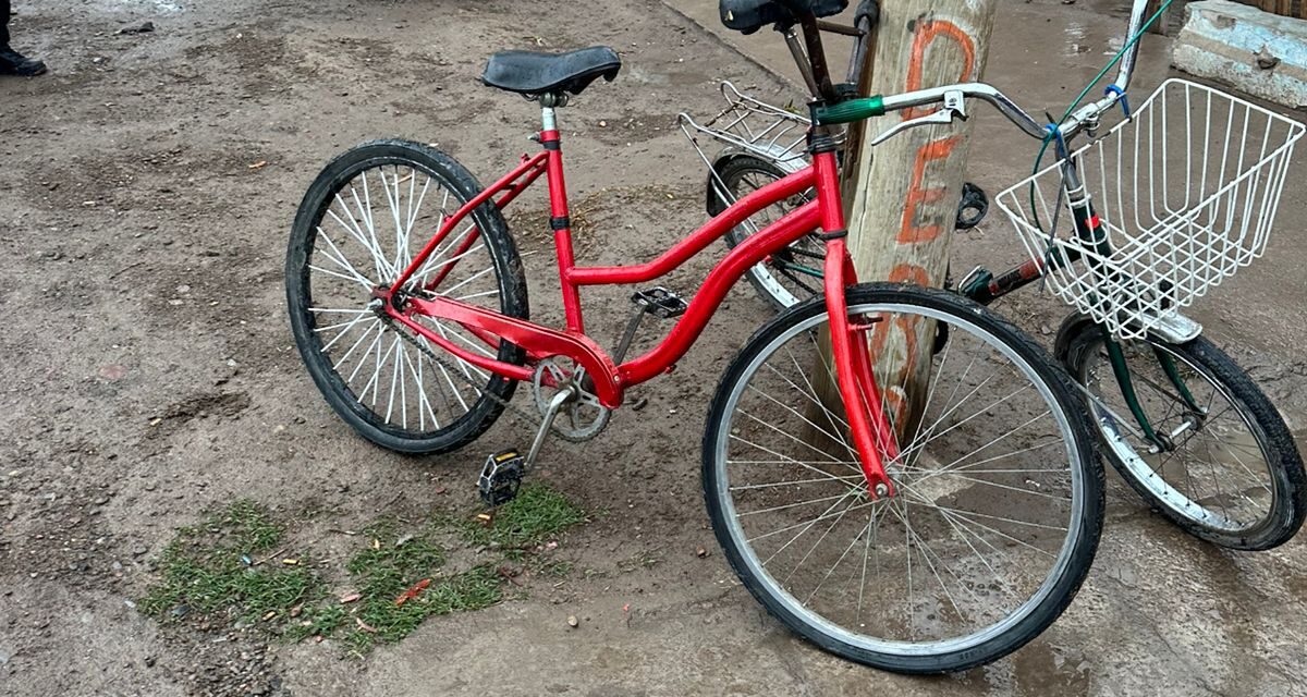 Dos adolescentes atrapados por robar bicicletas