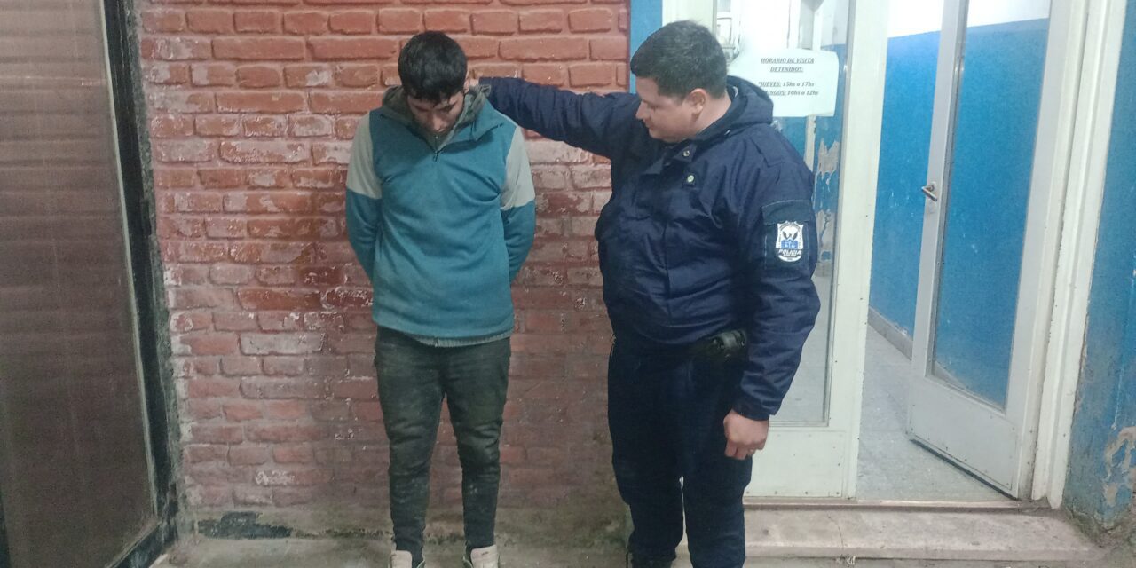 Robó un lavamanos y lo atraparon en la plaza de Albardón