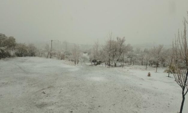 Santa Rosa trajo lluvia, frío y nieve: Mirá los vídeos