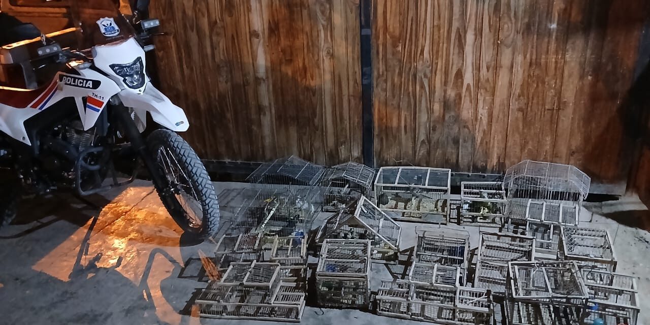 Megaoperativo en Pocito: incautan armas, aves y gran cantidad de objetos robados