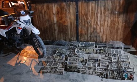 Megaoperativo en Pocito: incautan armas, aves y gran cantidad de objetos robados