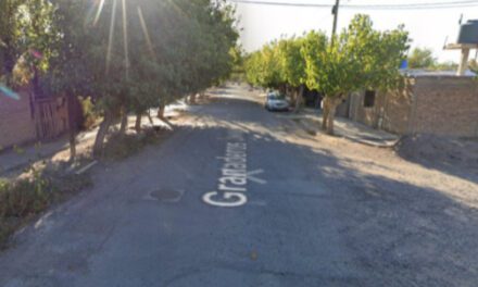 Hallaron el cuerpo del hombre de la calles Granaderos, habría sufrido ataques de los perros