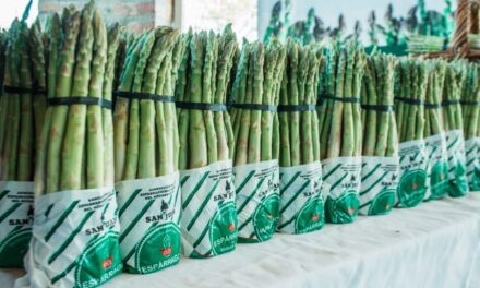 Rawson impulsa la producción local con la 2ª Jornada Técnica del Espárrago