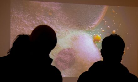 El Franklin Rawson abre un nuevo bloque con destacadas muestras de arte