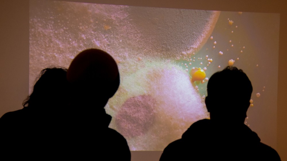 El Franklin Rawson abre un nuevo bloque con destacadas muestras de arte