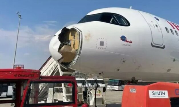 Un buitre chocó contra un avión de Iberia que partía rumbo a París y forzó un aterrizaje de emergencia