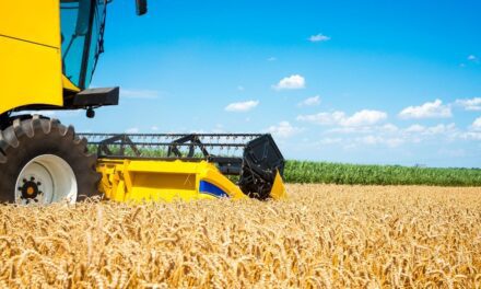 ENACOM anunció un sistema exclusivo para que las grandes industrias desplieguen redes privadas 4G y 5G