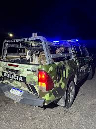 Cazadores ilegales fueron sorprendidos con guanacos faenados en Albardón