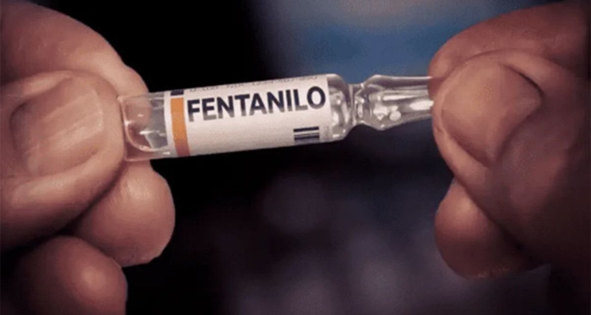 El PRO presentó proyectos para agravar penas y crear un sistema de alerta