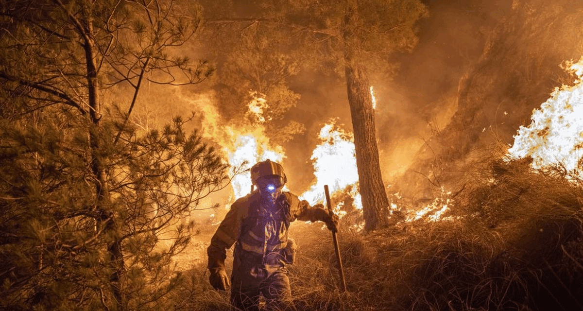 Más de un millón de hectáreas fueron arrasadas por los incendios
