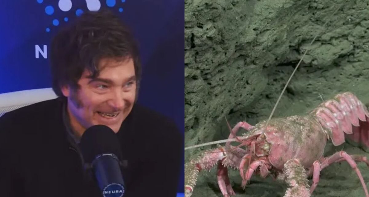 La entrevista a Javier Milei de Alejandro Fantino tuvo menos rating que el streaming del CONICET desde el fondo del mar
