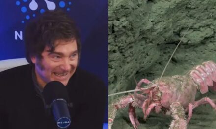 La entrevista a Javier Milei de Alejandro Fantino tuvo menos rating que el streaming del CONICET desde el fondo del mar