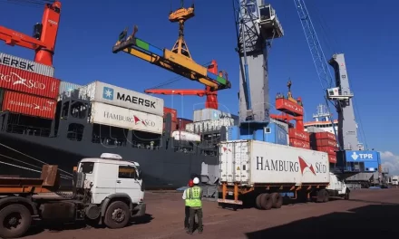 Exportaciones sanjuaninas: Luces y sombras en un semestre de contrastes