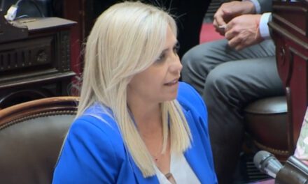 Nancy Picón: “Voy a rechazar el veto del Presidente al financiamiento universitario”