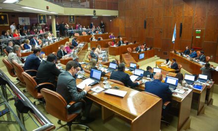 Silvana Romero Meglioli, nueva jueza de Familia: Lo que dejó la última sesión en Diputados