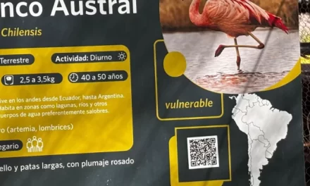 Rivadavia innova con carteles accesibles en texto, audio y Lengua de Señas