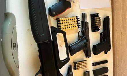 Un arsenal en Chimbas: Pistolas, revólveres y escopetas fuera de circulación