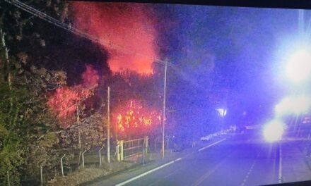 Incendio en un taller mecánico de Caucete: Seis autos destruidos