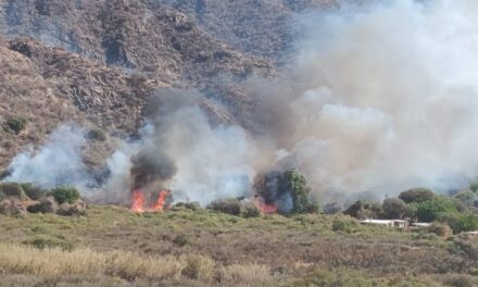Incendio en el Bajo de Astica: Ocho viviendas estuvieron en riesgo