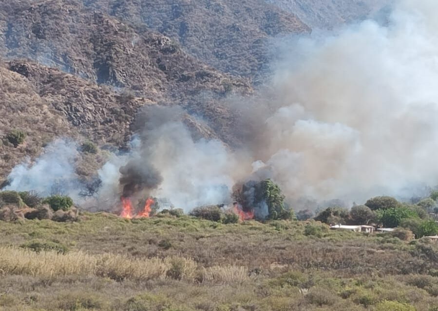 Incendio en el Bajo de Astica: Ocho viviendas estuvieron en riesgo