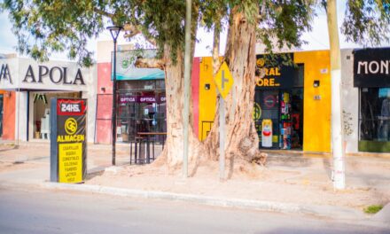 Con luminarias solares, Rivadavia estrenó su primer polo comercial