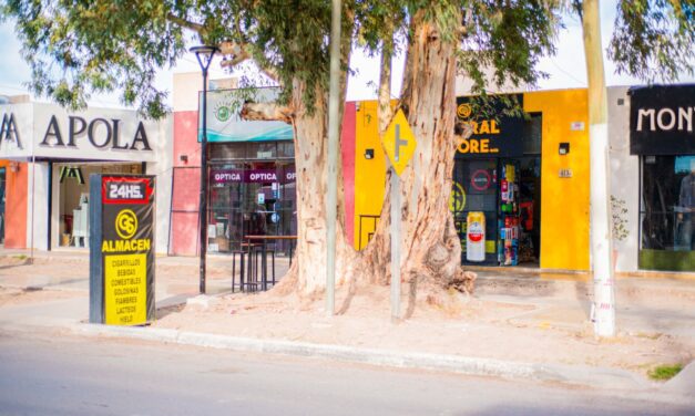 Con luminarias solares, Rivadavia estrenó su primer polo comercial