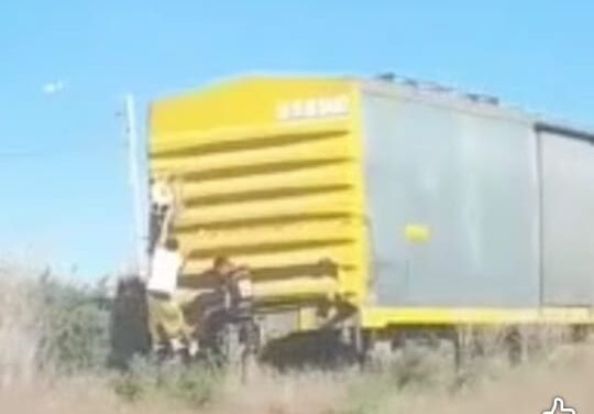 Niños en peligro: Se subieron a un tren de carga en Pie de Palo