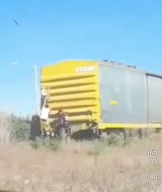 Niños en peligro: Se subieron a un tren de carga en Pie de Palo