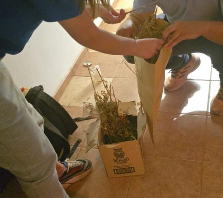 Chantaje y drogas en Santa Lucía: Un operativo que destapó todo