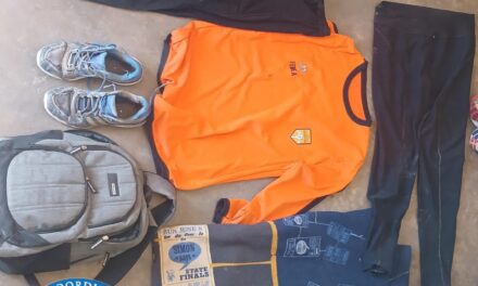 Cayó una banda que robaba cabinas y equipos en Zonda