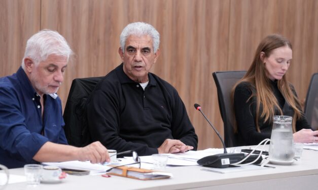 Minería en debate: San Juan, eje del futuro del cobre