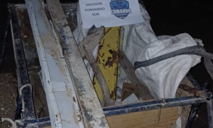 Intentaron robar un taller metalúrgico y fueron aprehendidos por la Policía