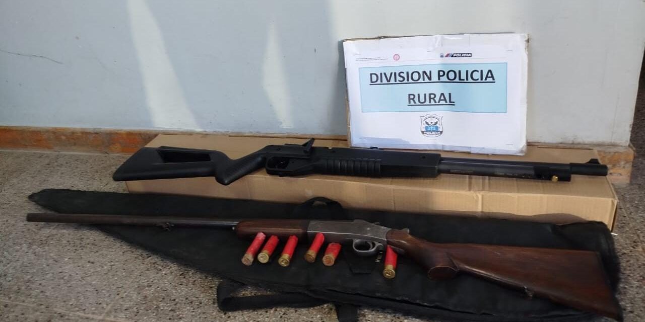 Secuestran armas en un procedimiento en San Martín
