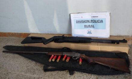 Secuestran armas en un procedimiento en San Martín