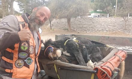 Un mexicano en moto y su perrita recorren Valle Fértil sin planes ni límites