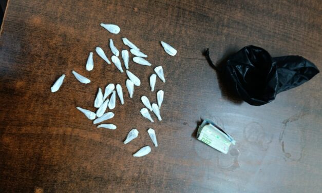 Caucete: Escándalo en el Lote Hogar 22 por un hallazgo de cocaína