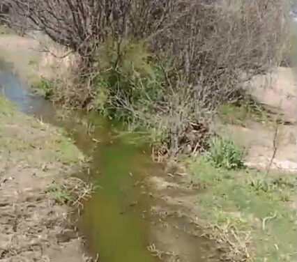 Preocupación en Valle Fértil por desborde de aguas servidas en Balde del Sur