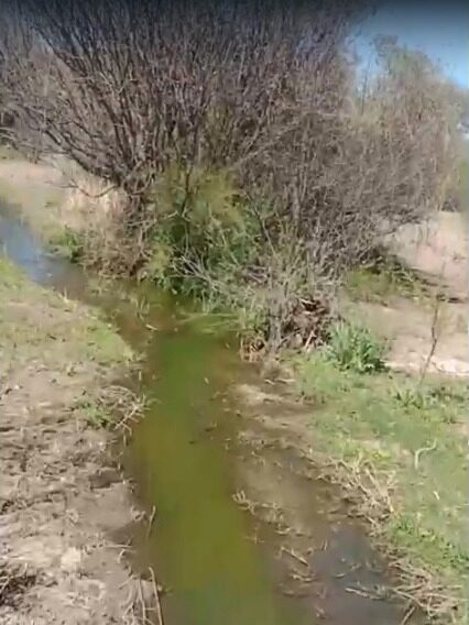 Preocupación en Valle Fértil por desborde de aguas servidas en Balde del Sur