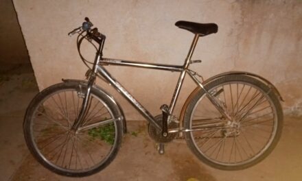 Recuperan una bicicleta robada en el Barrio CGT: Un detenido