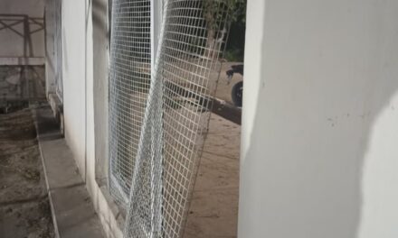 Dos detenidos tras robo en escuela y hurto en finca de Pocito