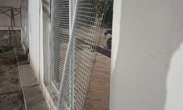 Dos detenidos tras robo en escuela y hurto en finca de Pocito