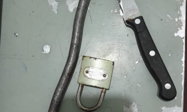 Intento de robo frustrado en Subcría Castro: Propietario sorprende al ladrón