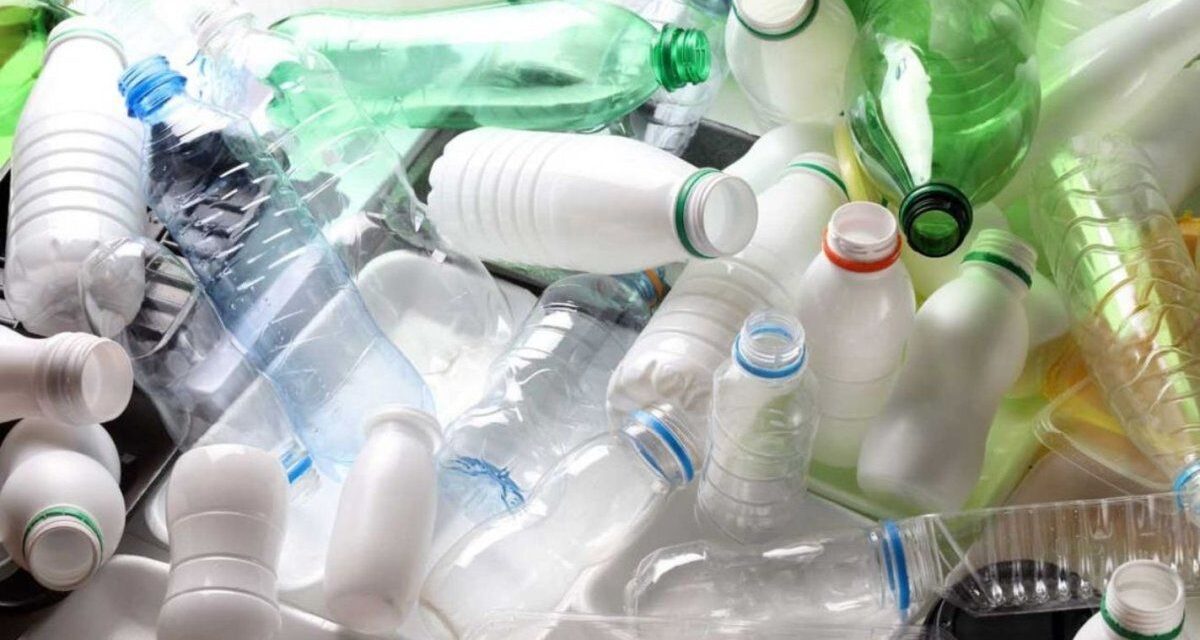 Exigen que empresas de envases en contacto con alimentos designen directores técnicos
