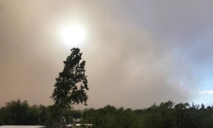 Alerta por vientos: Se suspende la actividad escolar en varios departamentos de San Juan