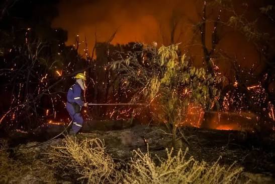 El viento Zonda desató múltiples incendios en distintos puntos de San Juan