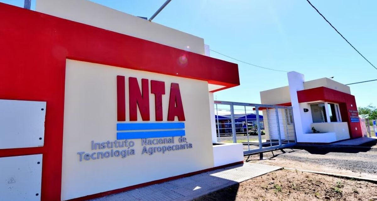 El gobierno de Javier Milei activa un retiro voluntario en el INTA para reducir personal
