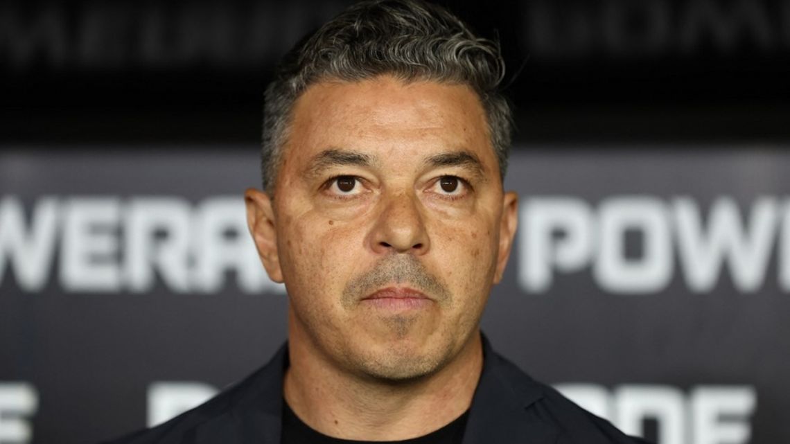 Marcelo Gallardo se mostró optimista tras la derrota de River ante Palmeiras